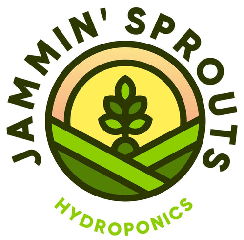 Jammin Sprouts